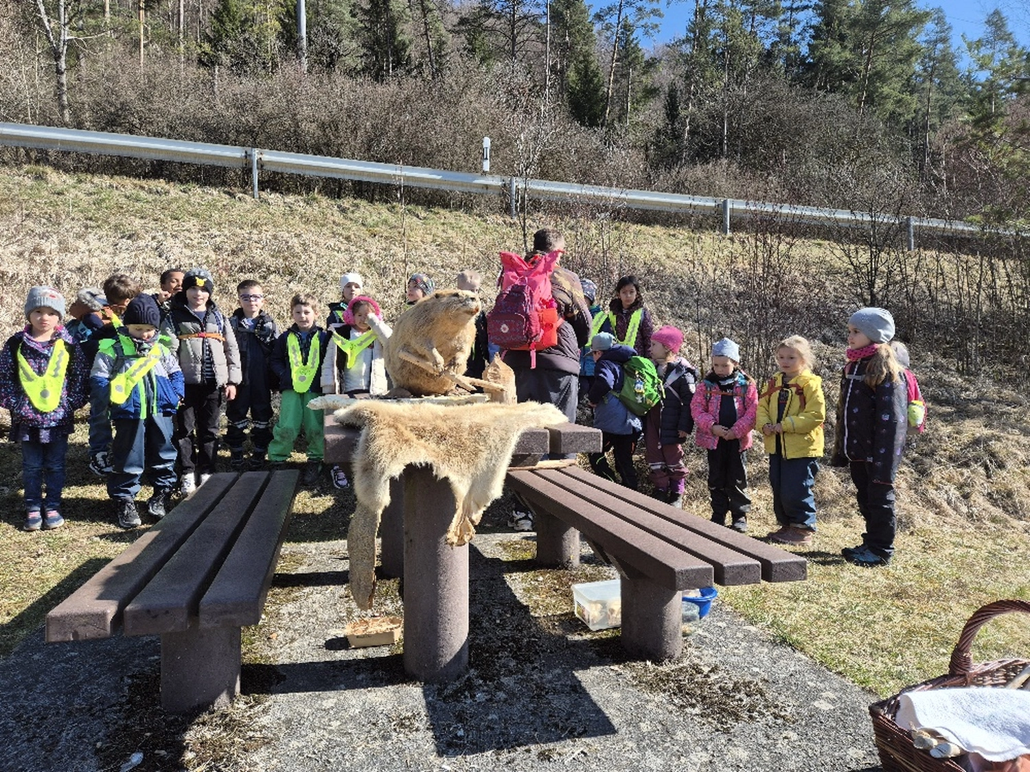 Fachbüro Biberfragen und Auenschutz - Biberuntergrabung