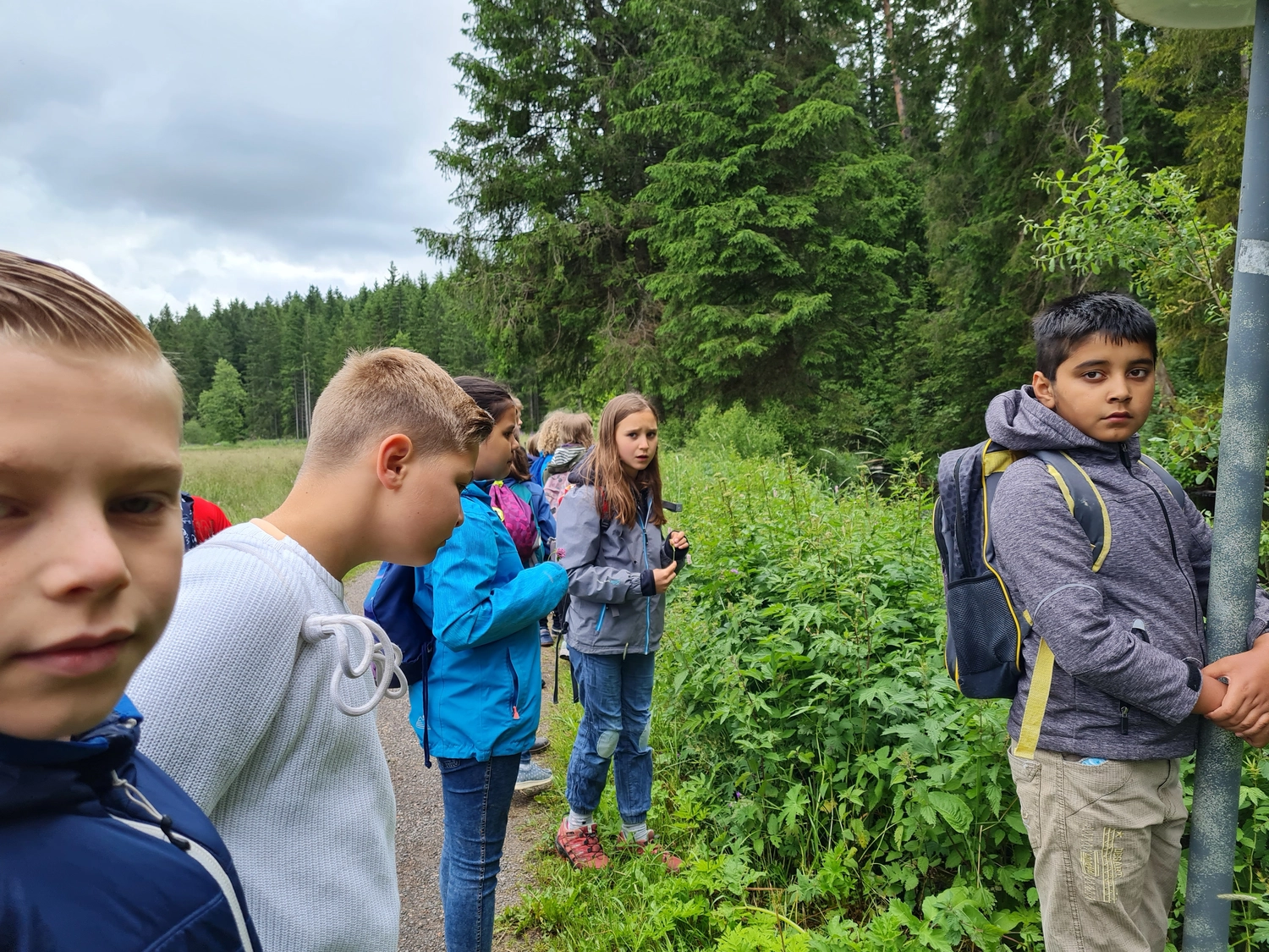Fachbüro Biberfragen und Auenschutz - Biber