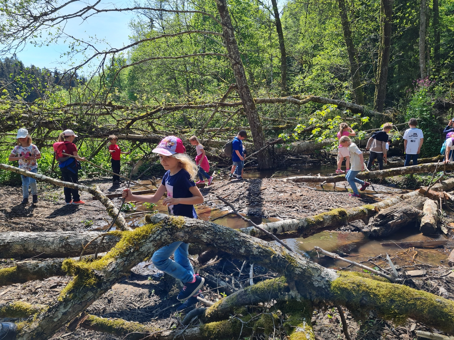 Fachbüro Biberfragen und Auenschutz - Biberuntergrabung