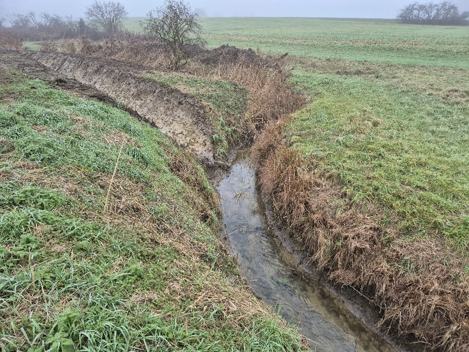 Fachbüro Biberfragen und Auenschutz - Biberuntergrabung