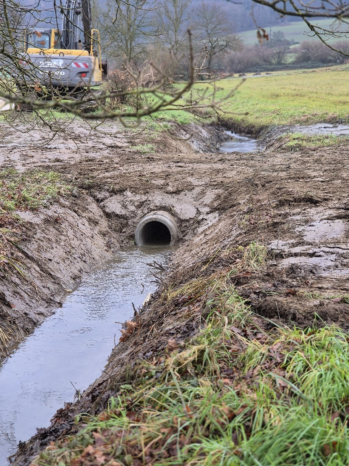 Fachbüro Biberfragen und Auenschutz - Biberuntergrabung