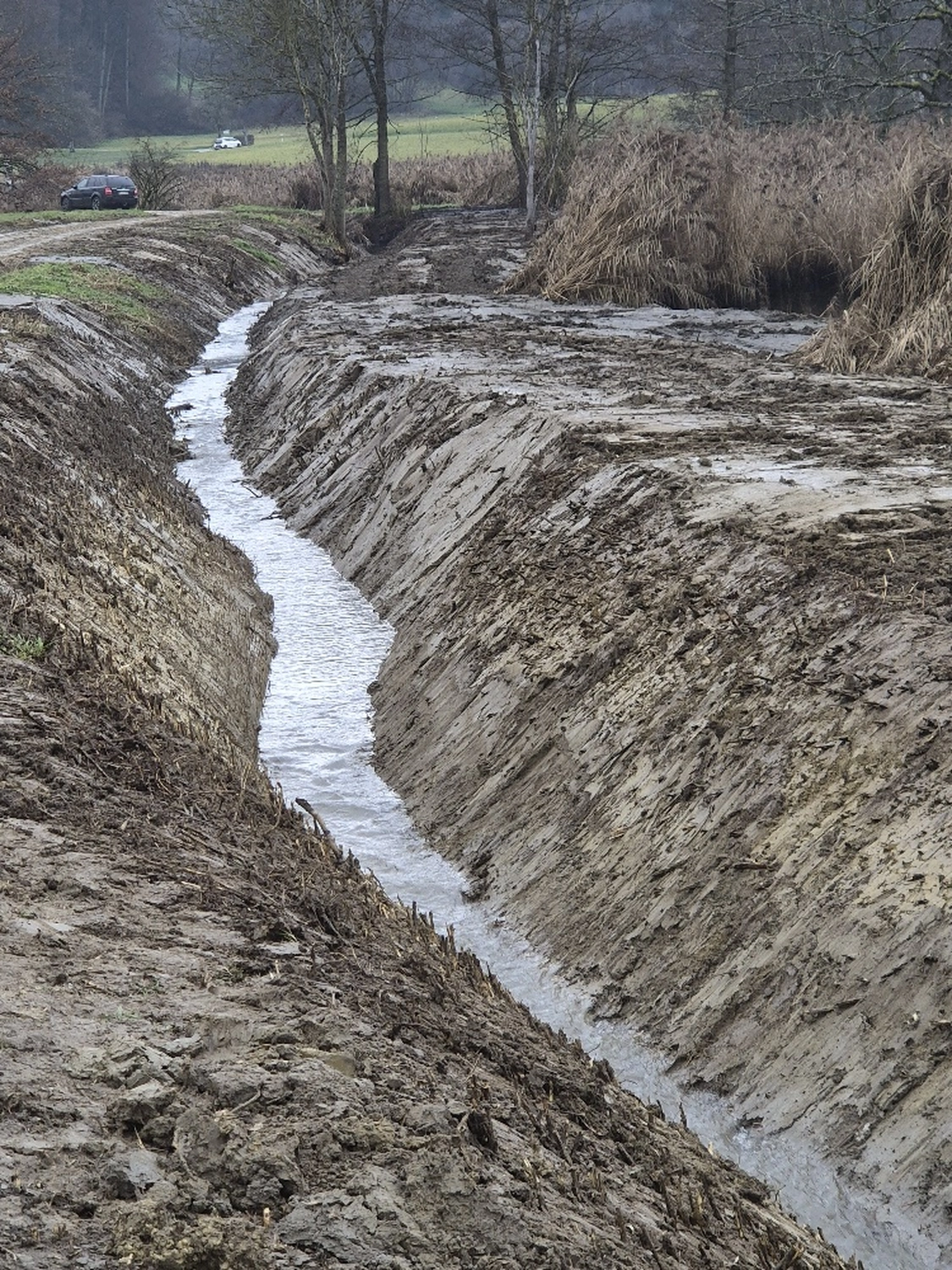 Fachbüro Biberfragen und Auenschutz - Biberuntergrabung